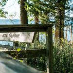 Tart Trails Inc