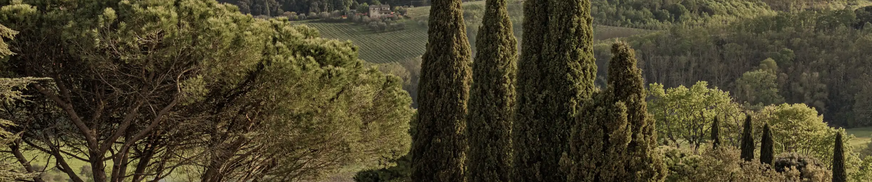 The Wedding Website of Oliver Lavictoire and Hope Dancho