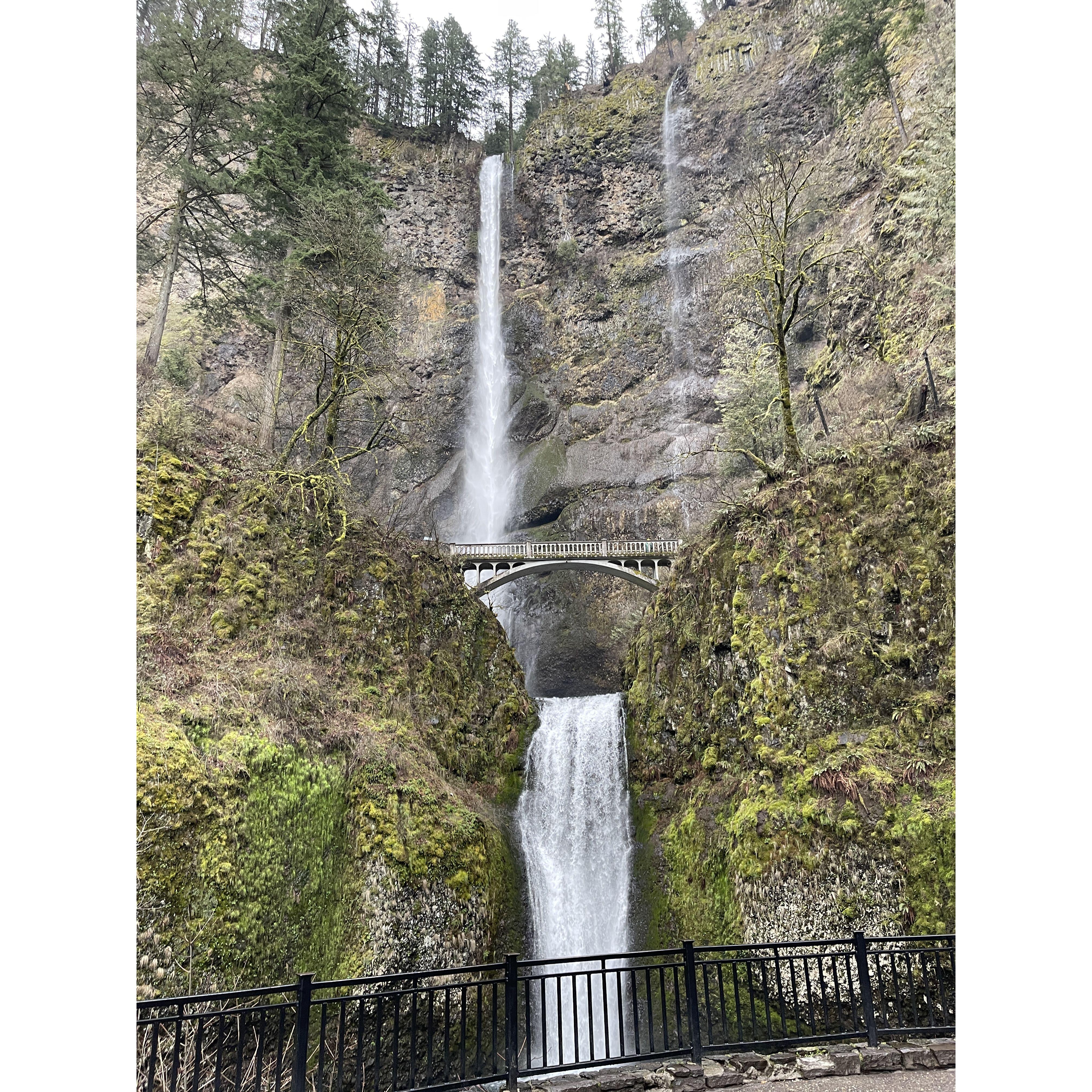 Forks and Multnomah Falls 3/12/23