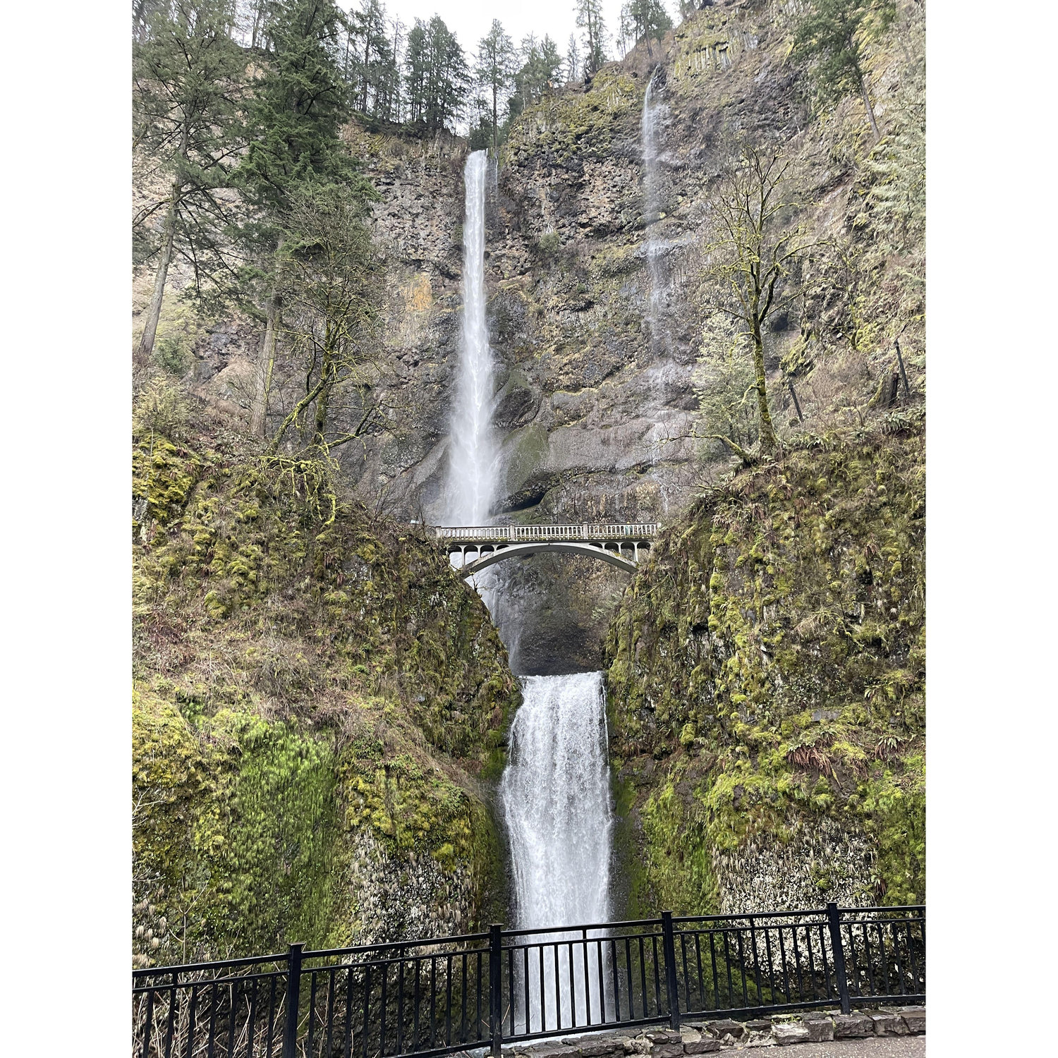 Forks and Multnomah Falls 3/12/23