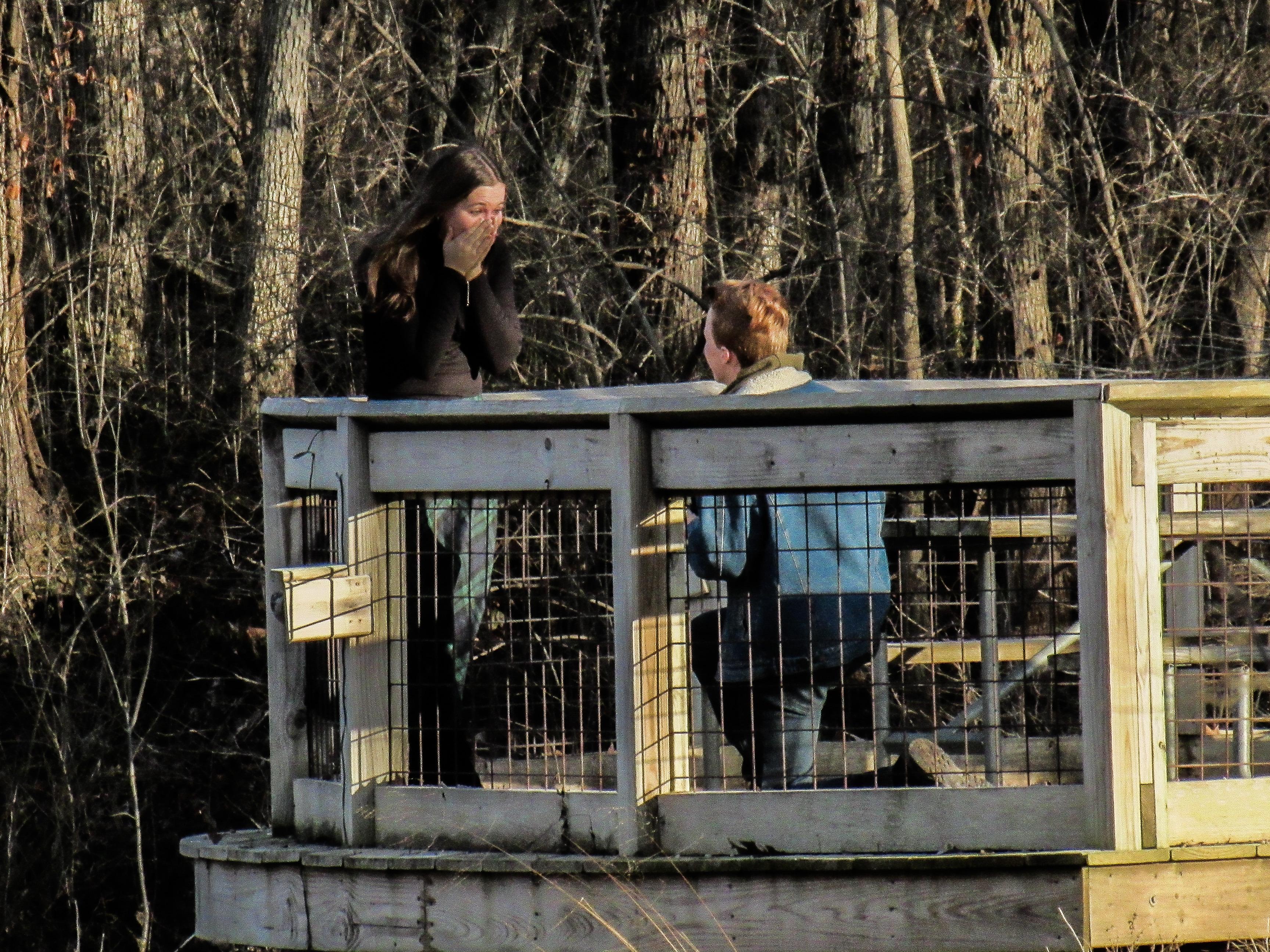 The Wedding Website of Abigail Terwilliger and Nasher Knowlton