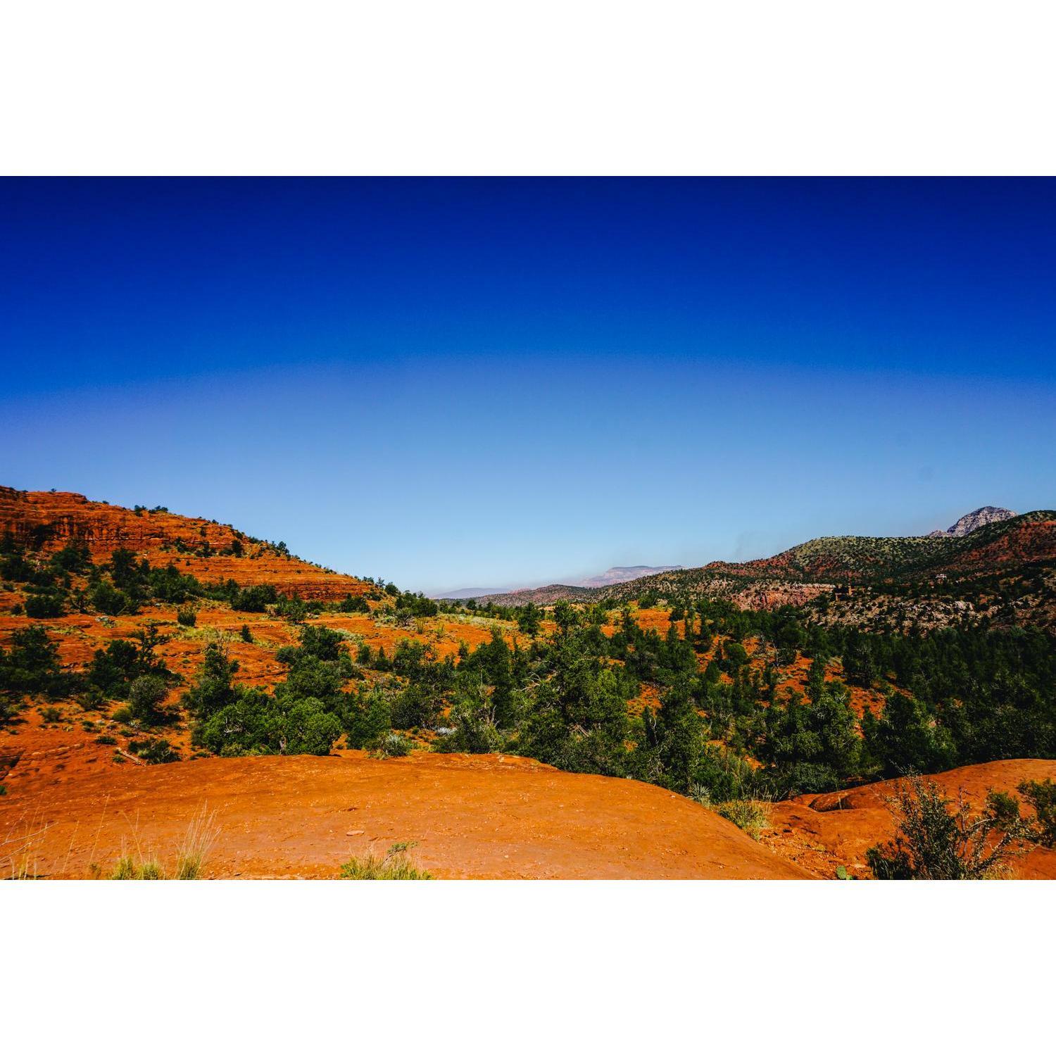 Sedona had the most magical colors we had ever seen.