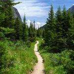 Hiking