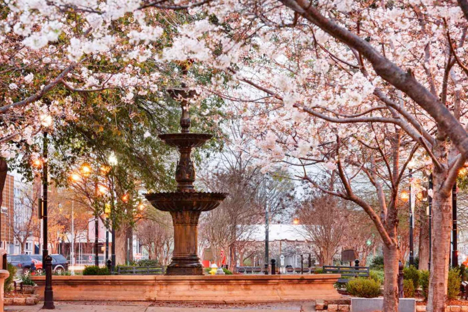 The Wedding Website of Kristin Ginther and Michael Barahura