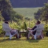 Windridge Vineyards