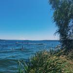 Madison Park Beach