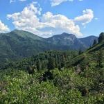 Millcreek Canyon Road