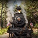 The World Famous Skunk Train