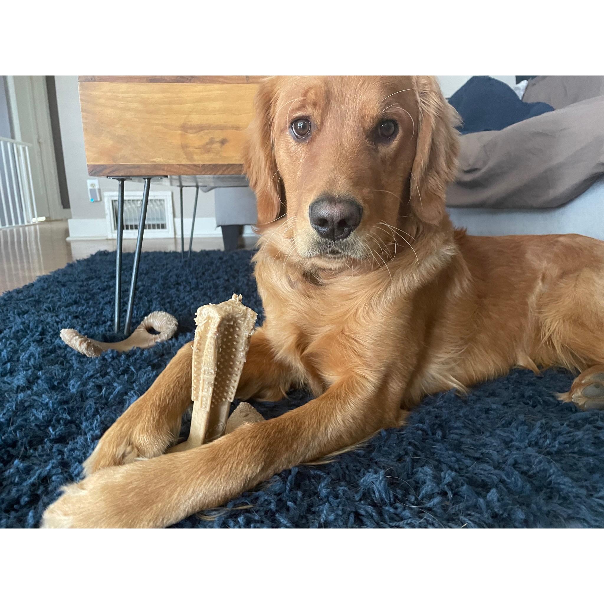 Our distinguished gentleman