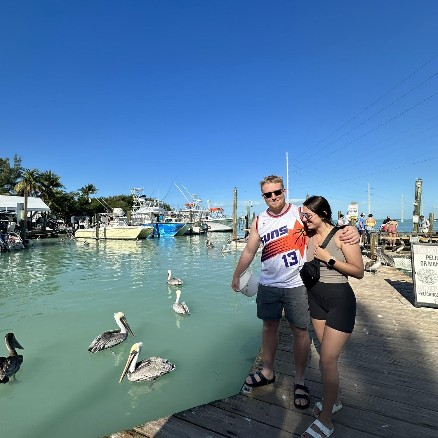 Florida keys road trip December 2023 (one of these pelicans almost ate Mina's phone)