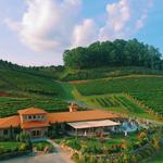 Linville Falls Winery