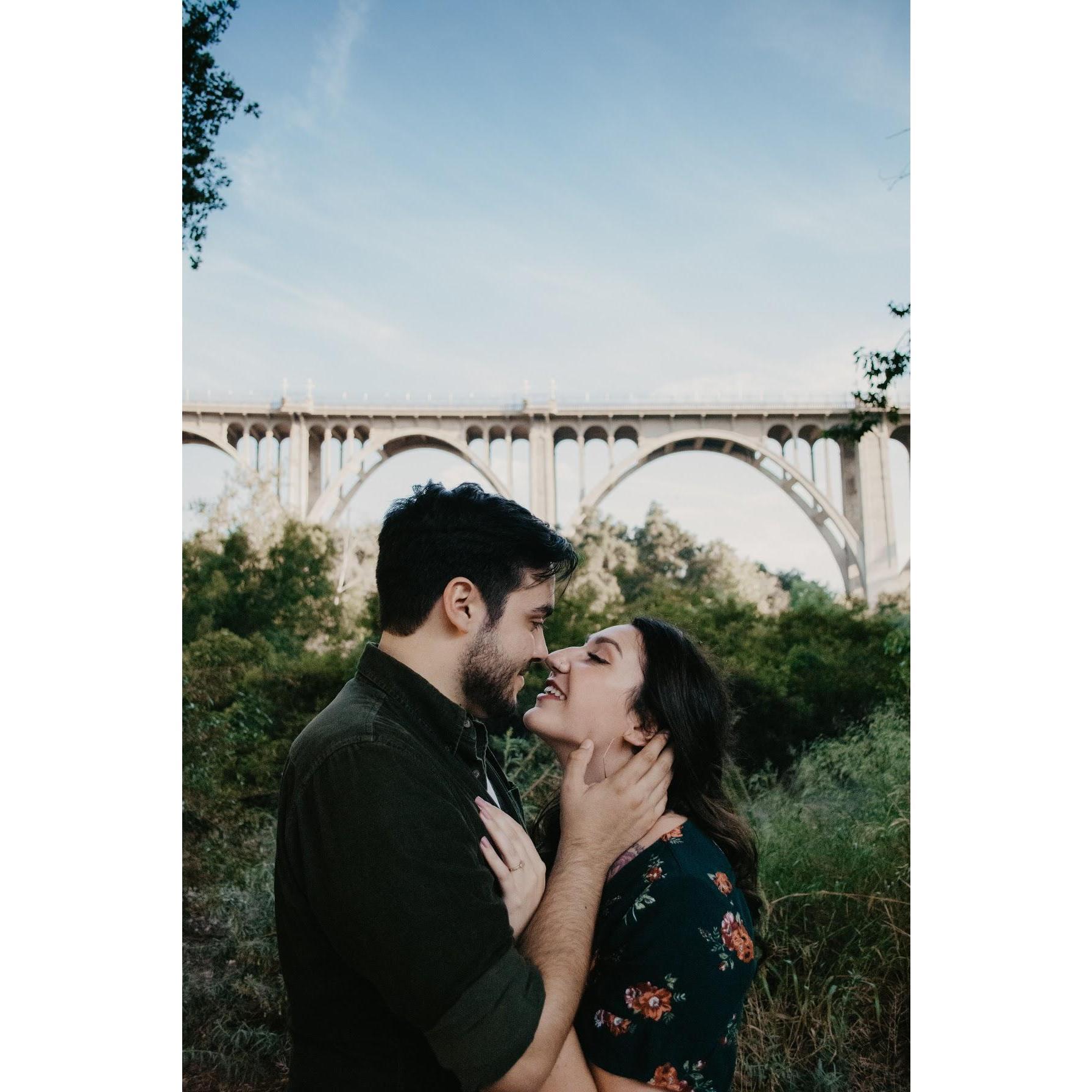 engagement photoshoot, under the 134