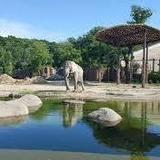 Cleveland Metroparks Zoo