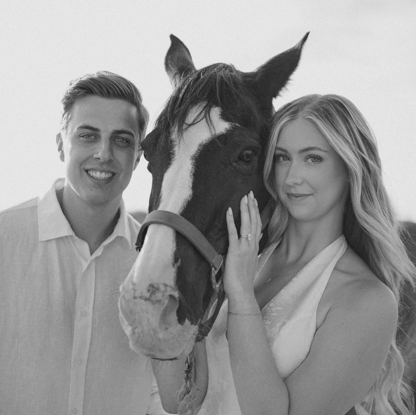 Chief the Horse