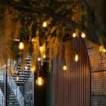 Downtown by Chef Jay Pisculli