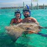 Swim with Stingrays & nurse sharks