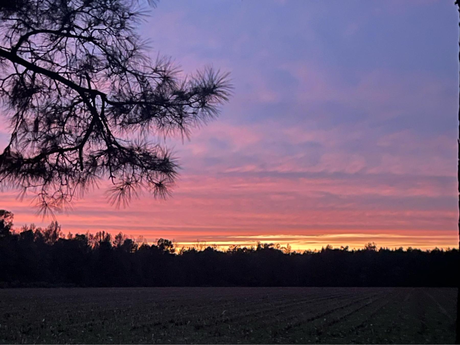 The Wedding Website of Jessica Jordan and Kevin Rickborn