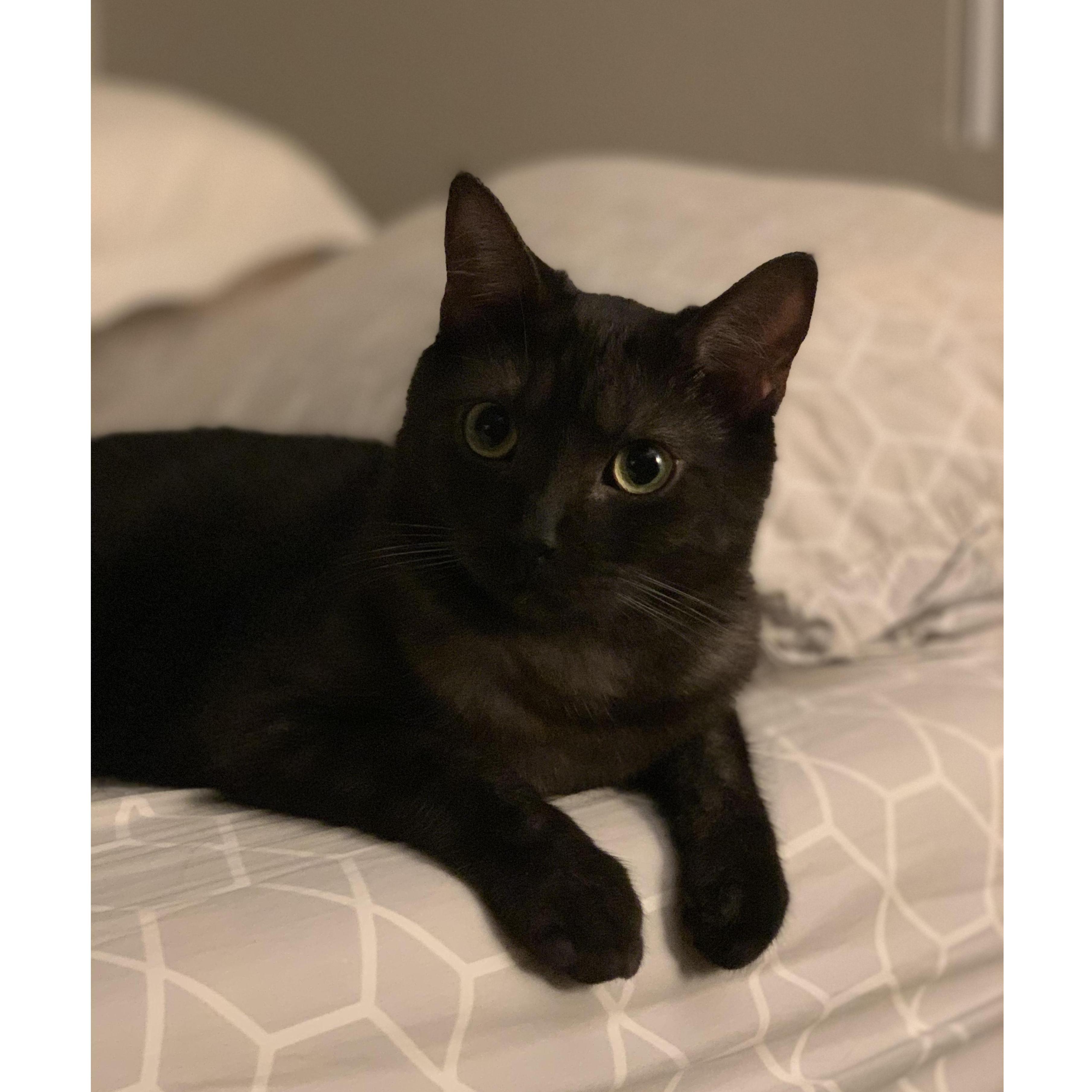 Zuko