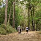 George Mitchell Nature Preserve