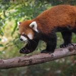 San Diego Zoo