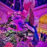 Bellagio Conservatory & Botanical Gardens