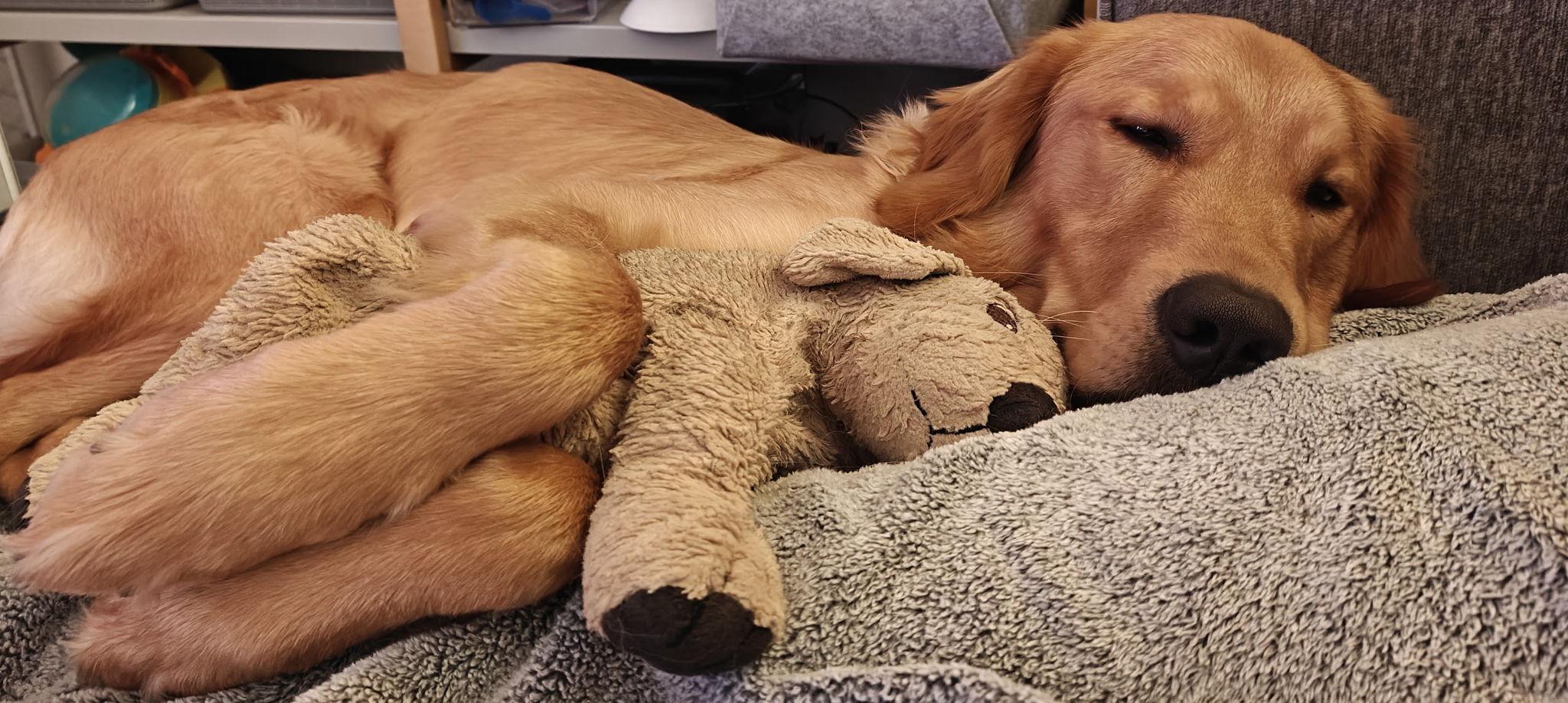 d1117487-48d9-4521-8a7d-a3b7b277a88f