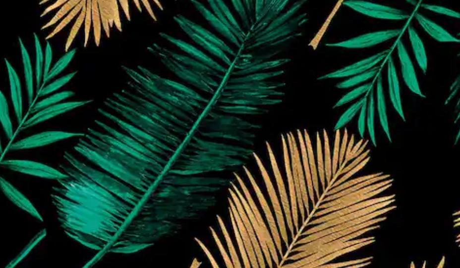 The Wedding Website of Jasmine Golden and Ameer Mitchell