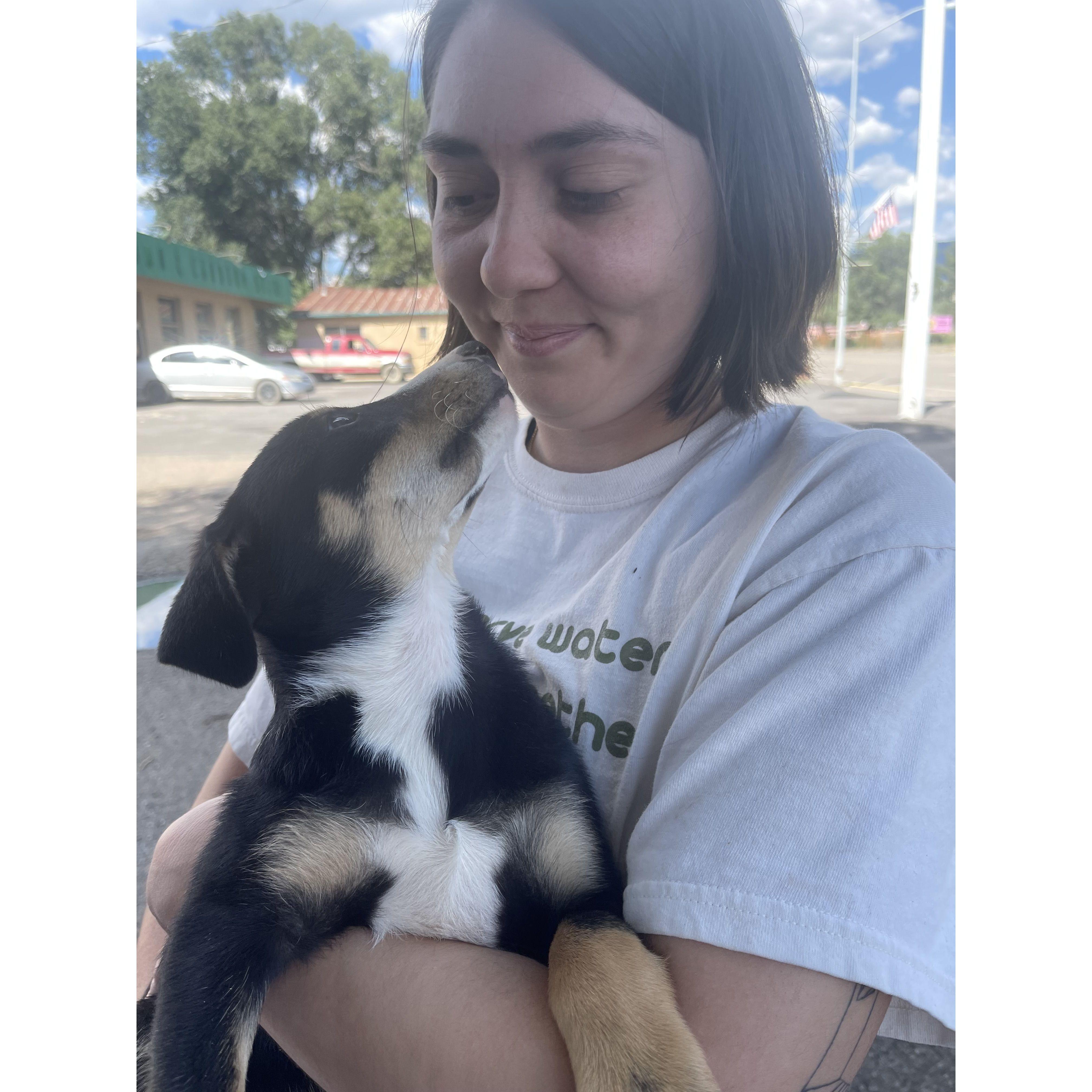 The first moments we got Piper off the side of the road in Cuba, New Mexico