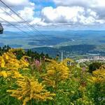 Hiking at Stratton