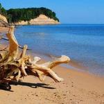 Calvert Cliffs State Park