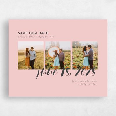 Rose, Pink Wedding Save the Date - Lyons Photo
