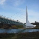 Sundial Bridge and Turtle Bay Exploration Park