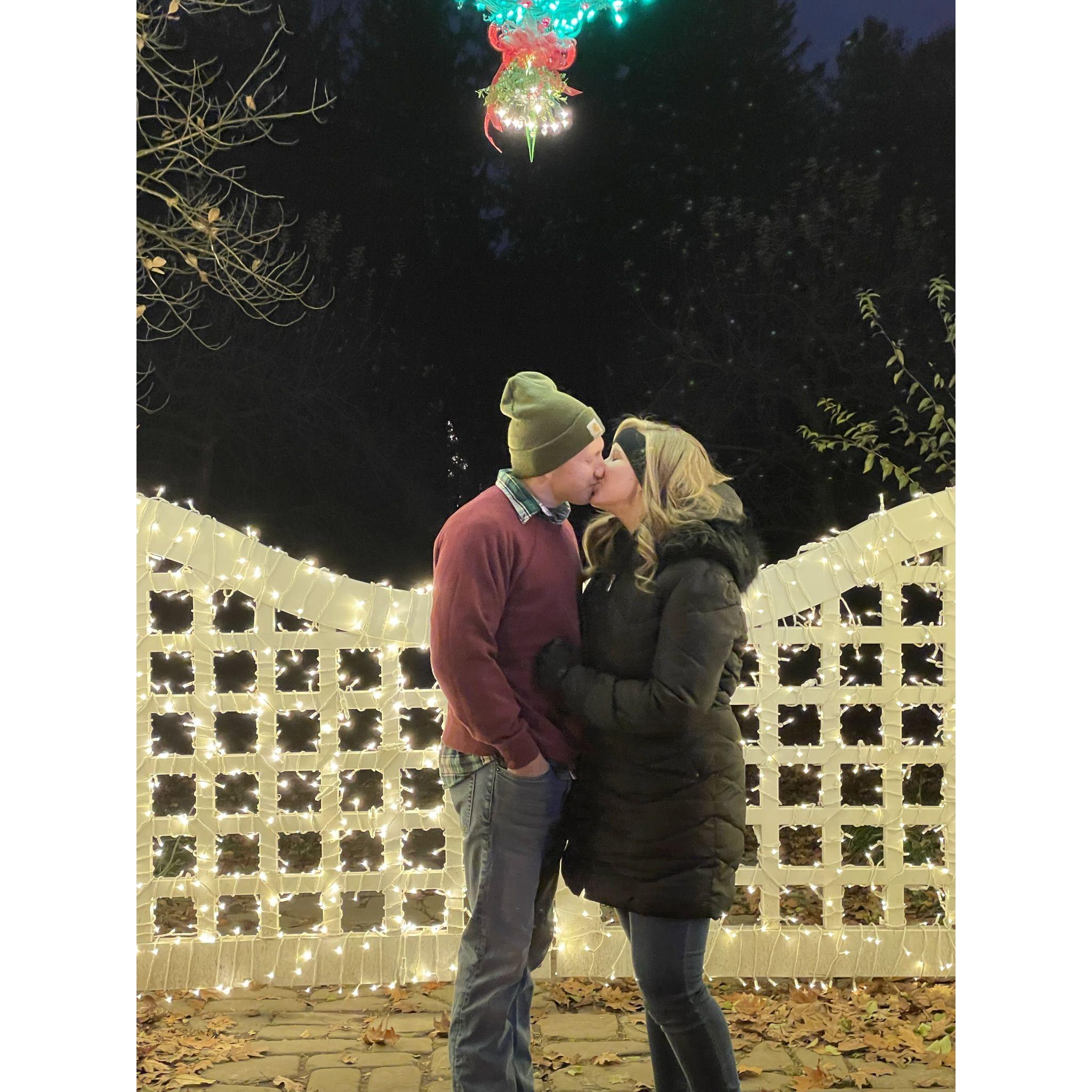 Winterlights