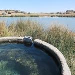 Franklin Hot Springs