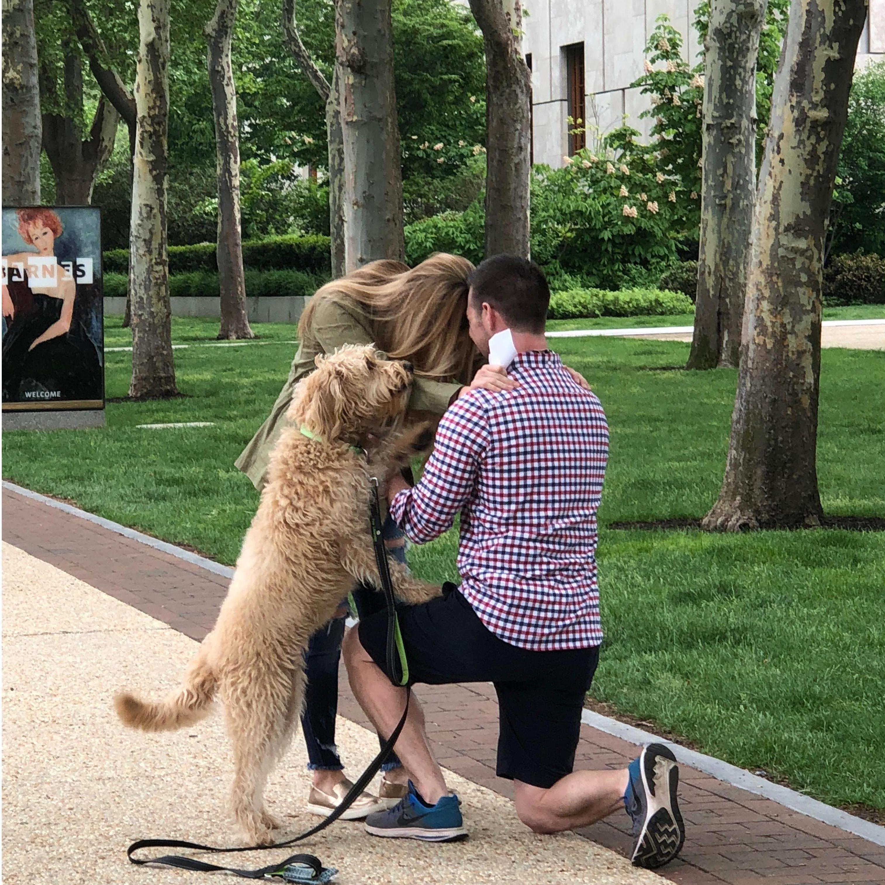 The proposal -- Waffles helped!