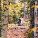 Perry Hill Mountain Biking