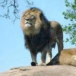 Peoria Zoo