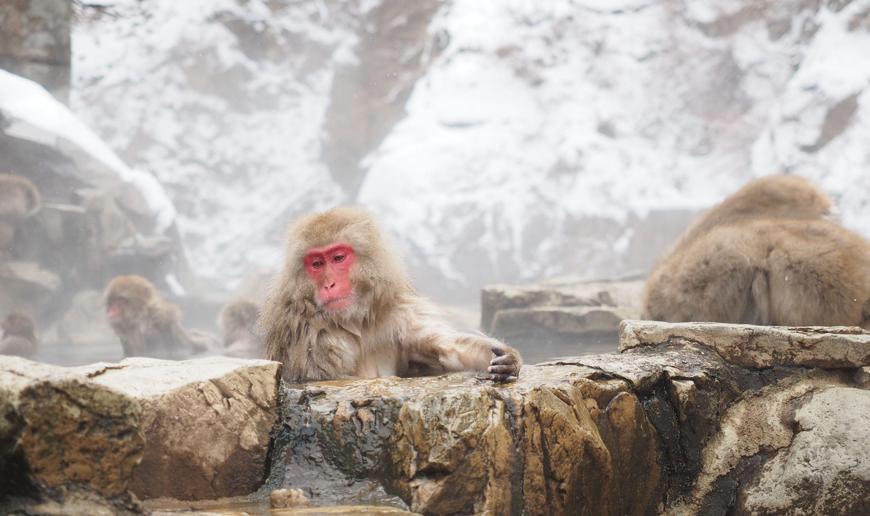 d11f548e-a63e-4a05-84ca-e4c43f06cf1e