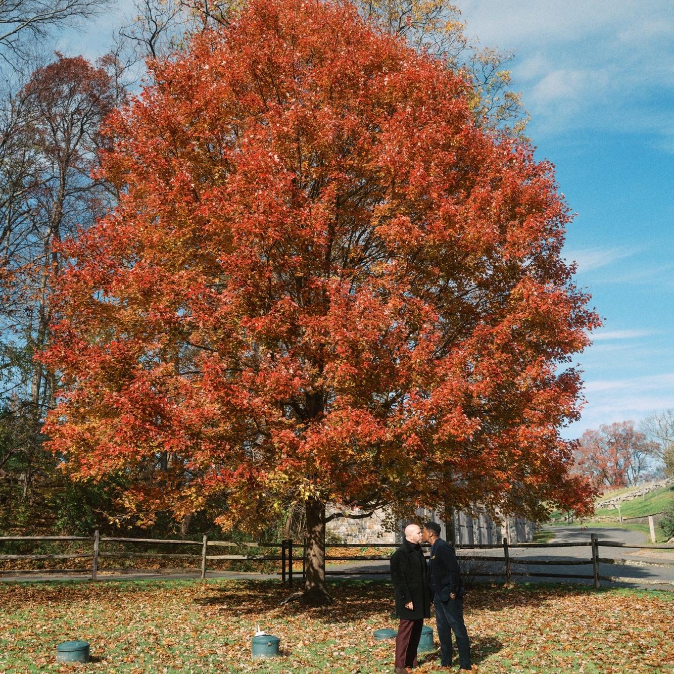 Blue Hill — November 12, 2023