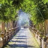 Jardins d'Alfàbia