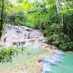 The World Famous Dunn's River Falls & Park