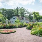Slottskogen & Gothenburg Botanical Garden