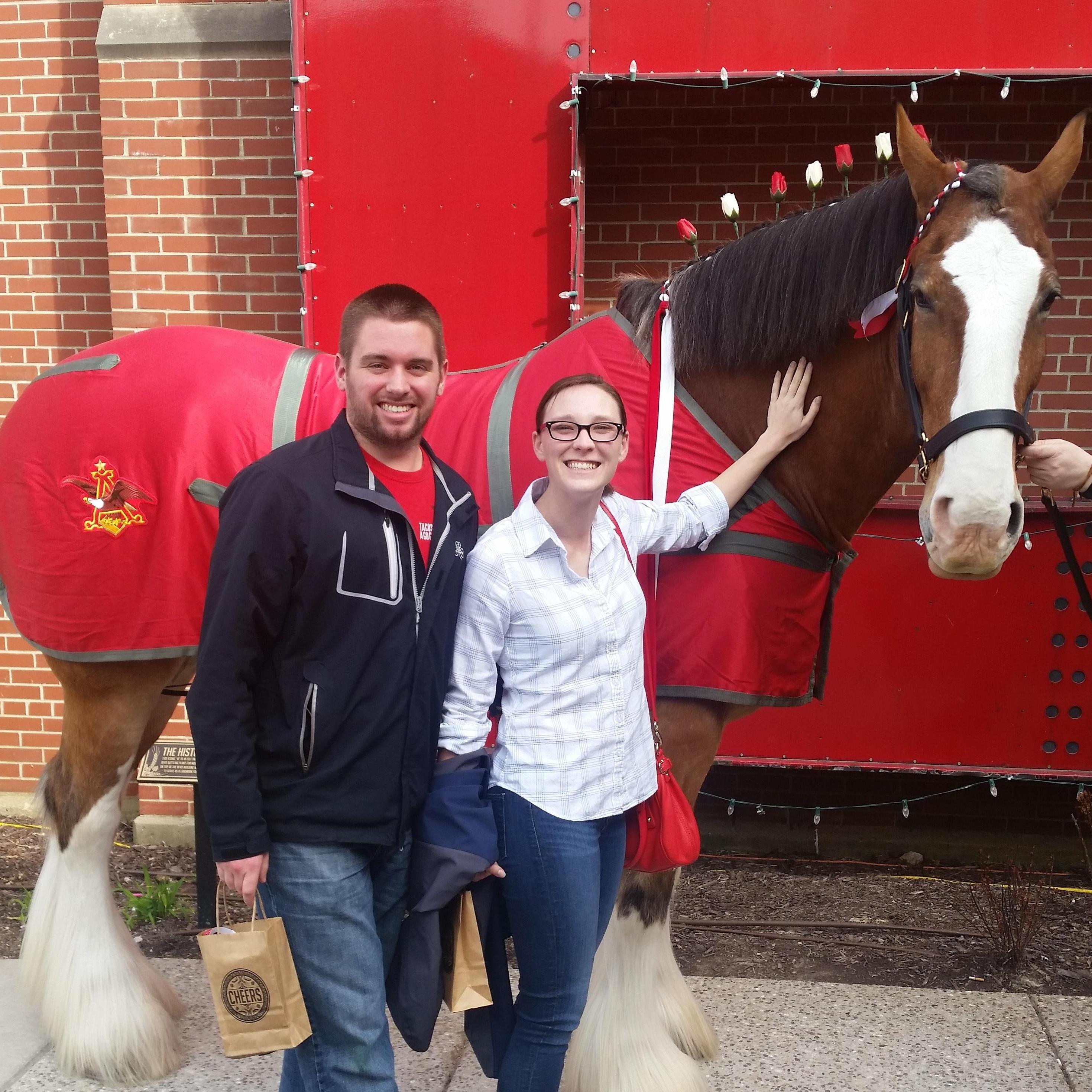 Visiting the Anheuser Busch Clydesdales
St. Louis, MO
March 2016