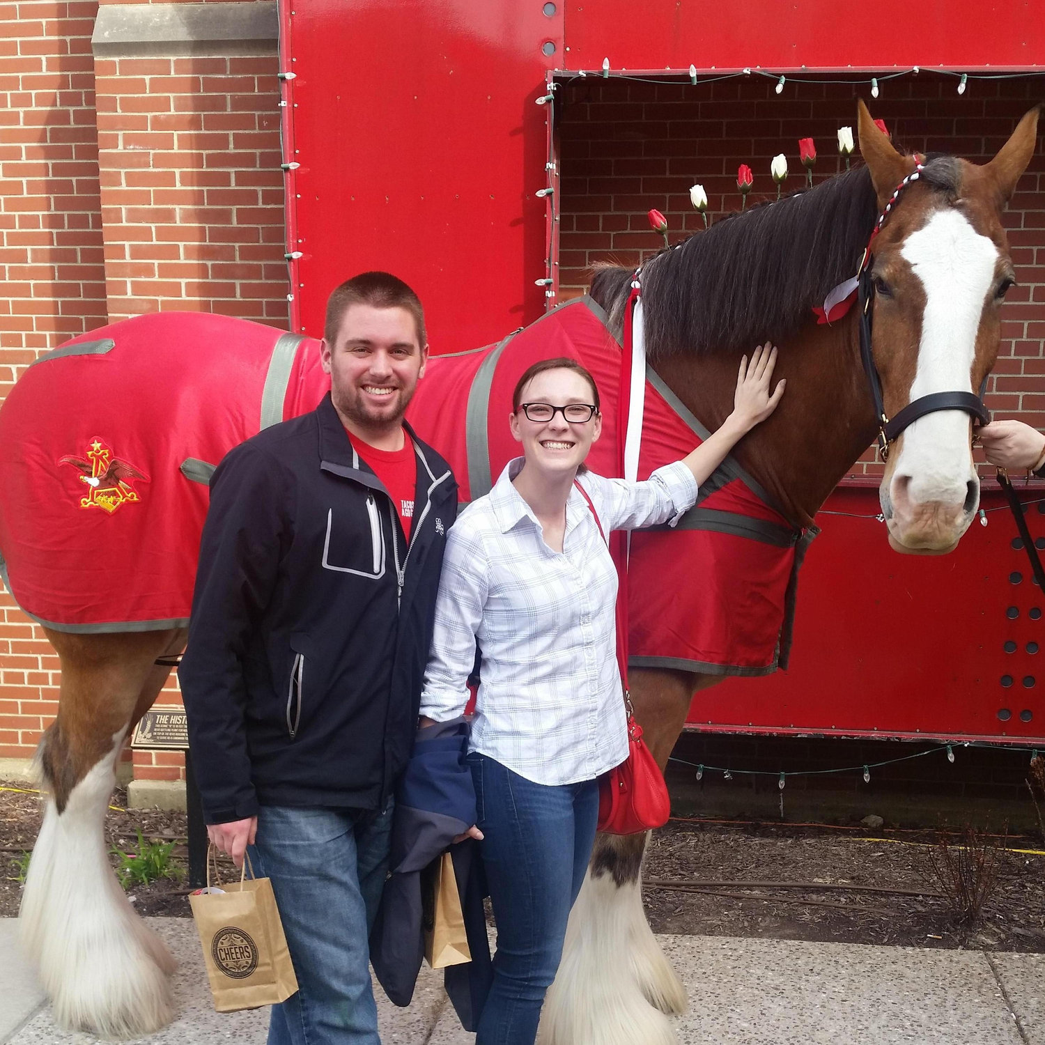 Visiting the Anheuser Busch Clydesdales
St. Louis, MO
March 2016