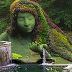 Atlanta Botanical Garden