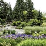 Bellevue Botanical Garden