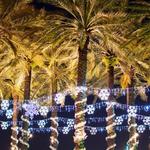 Curtis Hixon Waterfront Park