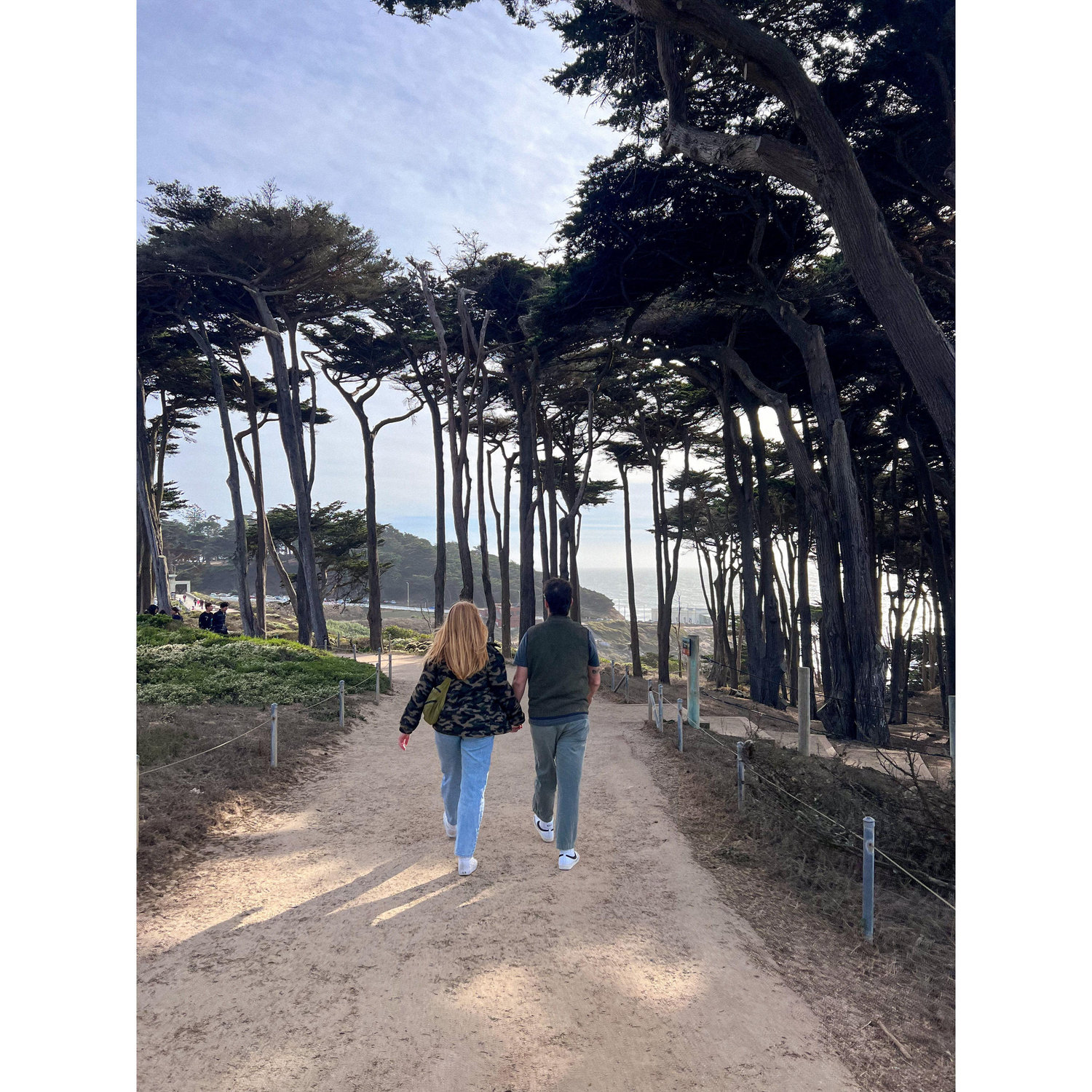 Walked miles and miles of SF.