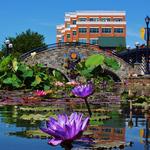 Downtown Frederick