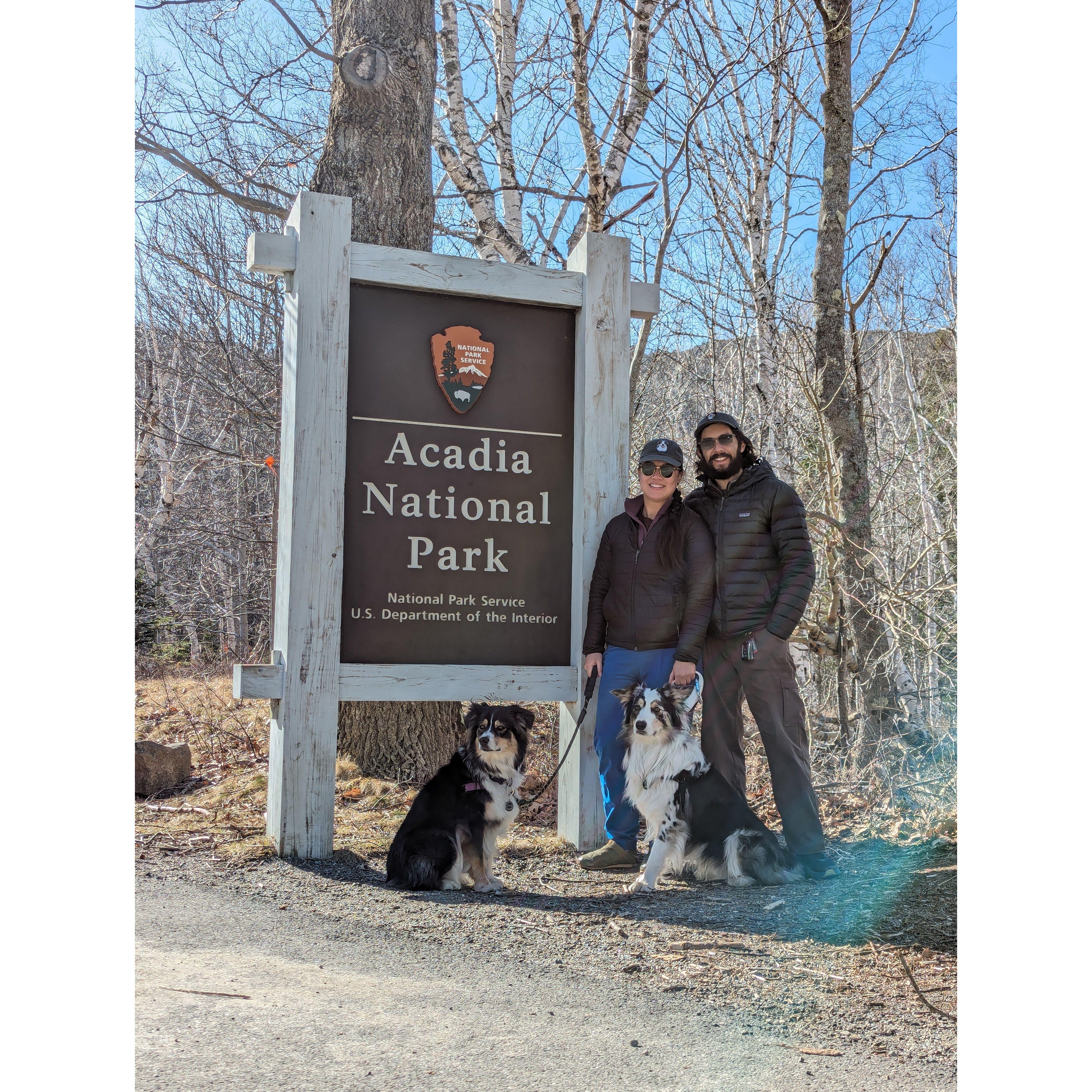 Coast-to-coast road trip with the pups